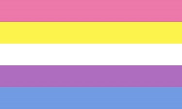 The pink, yellow, white, purple, and blue bigender pride flag